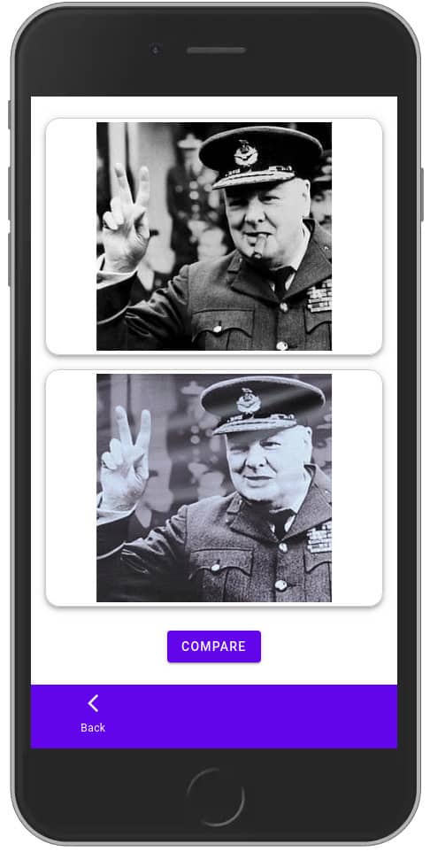 Image overlay tool showing transparency adjustments