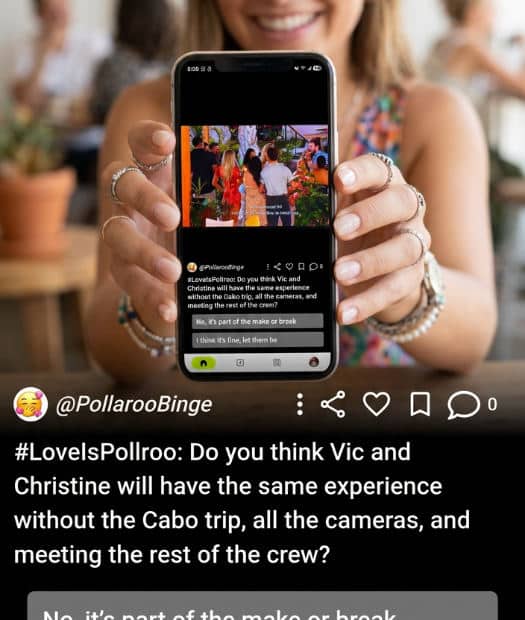 Smartphone screen showing an interactive family poll for party planning